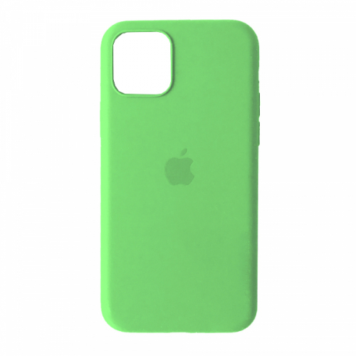 Silicone Case Full Protective (AA) для iPhone 12 / 12 Pro (Spearmint)-0